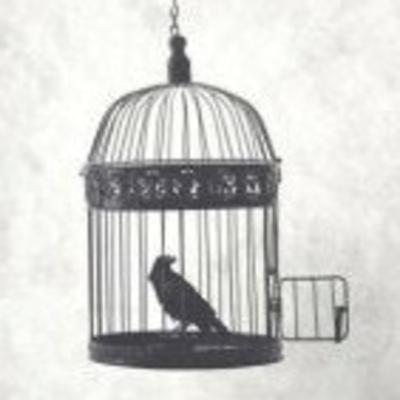 Há quem prefira escravidão - Culto de Domingo #4