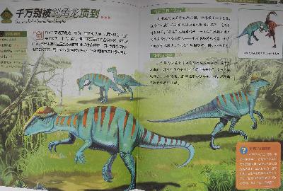植食恐龙_33千万别被剑角龙顶到