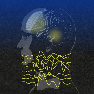 Your Brain: Perception and Control