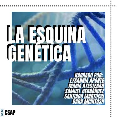 Síntesis Proteica|Traducción del ADN