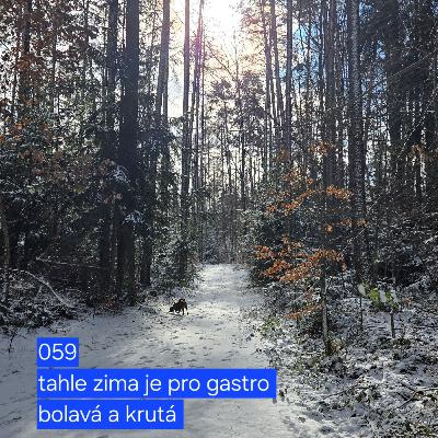 059 tahle zima je pro gastro bolavá a krutá 059 tahle zima je pro gastro bolavá a krutá