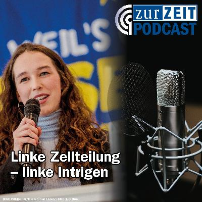 Linke Zellteilung – linke Intrigen