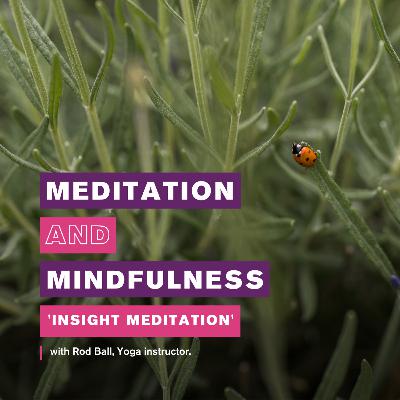 Essex Sport Podcast - ‘Meditation and Mindfulness – Insight Meditation’ with Rod Ball