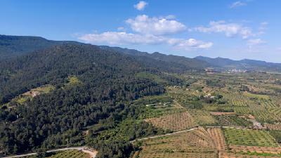 REPORTATGE. Canviar la ciutat pel poble