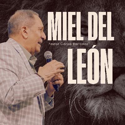 Miel del León / Jueces 14:5-9 Miel del León / Jueces 14:5-9
