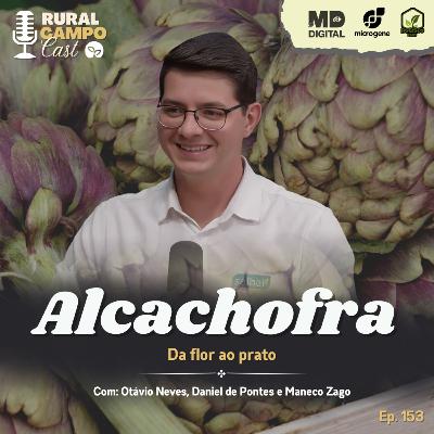 RuralCampoCast 153 / Alcachofra - Da flor ao prato RuralCampoCast 153 / Alcachofra - Da flor ao prato