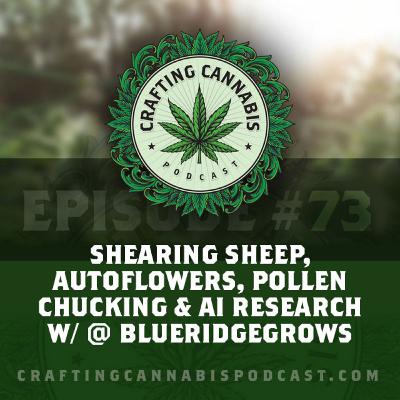 #73 - Shearing Sheep, Autoflowers, Pollen Chucking & AI Research w/ @ BlueRidgeGrows