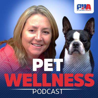 17. Doggie Daycare; Much More Than a Pooch Hotel