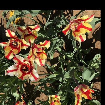 Be a Winner Be a Winner