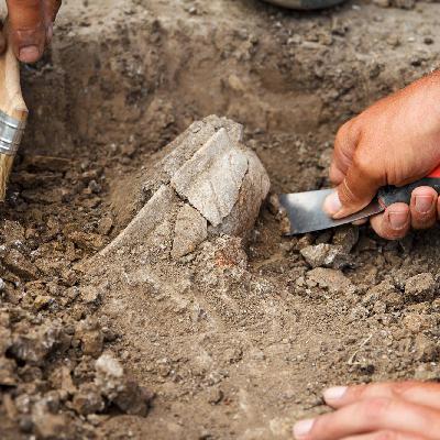 Le site archéologique de Naachtun, Guatemala