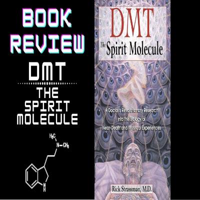 Book Review: DMT: The Spirit Molecule Book Review: DMT: The Spirit Molecule