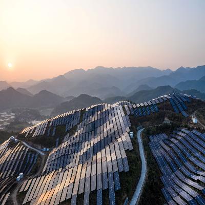 The essential role of the system inertia in a future proof renewable grid