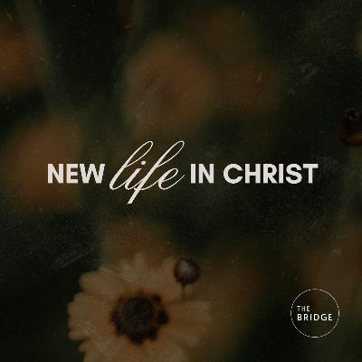 New Life In Christ: Union & Identity with Christ