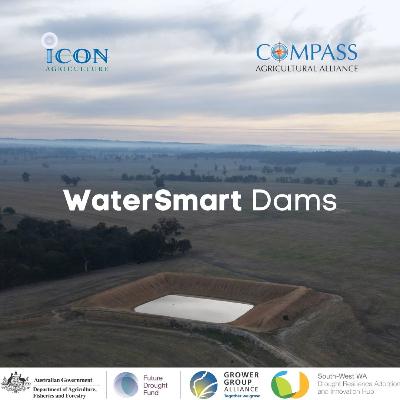 Episode 6: Drains & Soaks