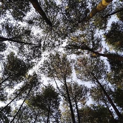 Fakta harga produk outdoor - pom kopandavil