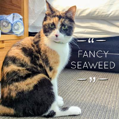 Triple Con Report Triple Con Report