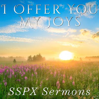 I Offer You My Joys – SSPX Sermons