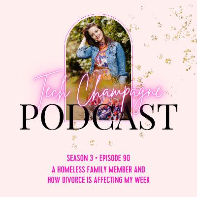 Episode 90 - A Homeless Family Member and How Divorce is Affecting My Week