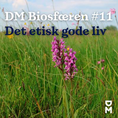 DM Biosfæren: Det gode liv #3 – Kærlighed virker bedre end pligt