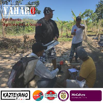 Proyecto Yaharo - Capítulo 4 Rio Caña