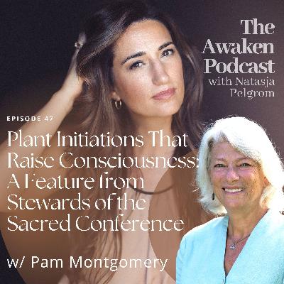 Plant Initiations That Raise Consciousness