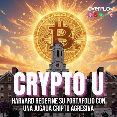 El gato más querido del barrio… y el robotaxi que lo mató | OVERFLOW 181125