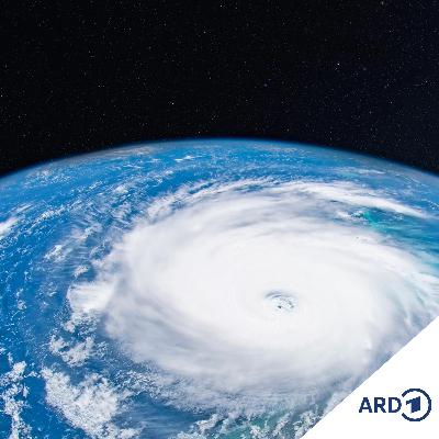 Climate Fiction