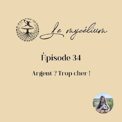 34 - Argent ? Trop cher !