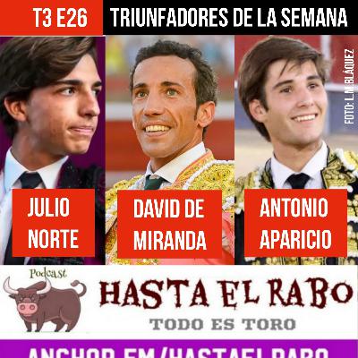 T3 E26 DAVID DE MIRANDA HUELVA. ✓ JULIO NORTE CASTILLA Y LEÓN ✓ ANTONIO APARICIO, Espiga de Plata Calasparra ✓ EL GRAN BORIS ✓ TODO HUELVA, EL PUERTO, AZPEITIA #PODCAST HASTA EL RABO TODO ES TORO