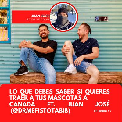 Lo que debes saber si quieres traer a tus mascotas a Canadá Ft. Juan José  (@drmefistotabib)