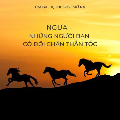 UBLTGMR - NGỰA - NHỮNG NGƯỜI BẠN CÓ ĐÔI CHÂN THẦN TỐC