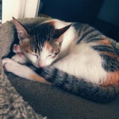 My Podcast ~ Season 2! My Podcast ~ Season 2!