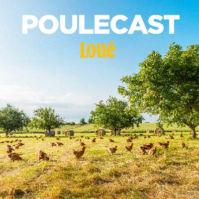 Poule Up ! Episode 1