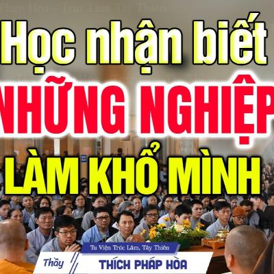 Học cách Nhận Diện những Nghiệp đang làm khổ mình - Thầy Thích Pháp Hòa