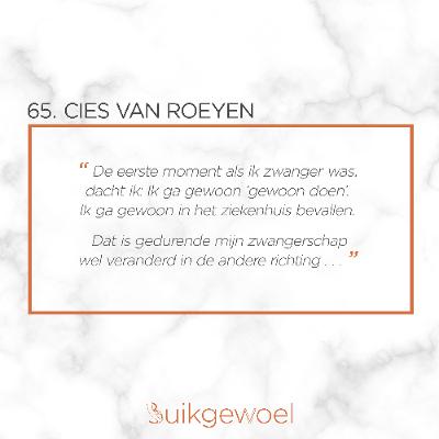 65. Cies Van Roeyen (Prenatale diagnostiek & 2 thuisbevallingen)