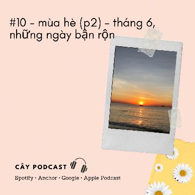 #10 - mùa hè (p2) - tháng 6, những ngày bận rộn