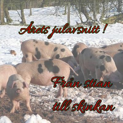 #36 Från stian till skinkan!