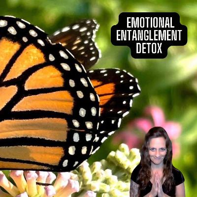 E116 ~ Causes of Emotional Entanglement and Detox Tools