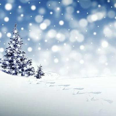 16. Dezember 16. Dezember