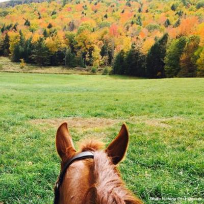 It’s Fall Y’all