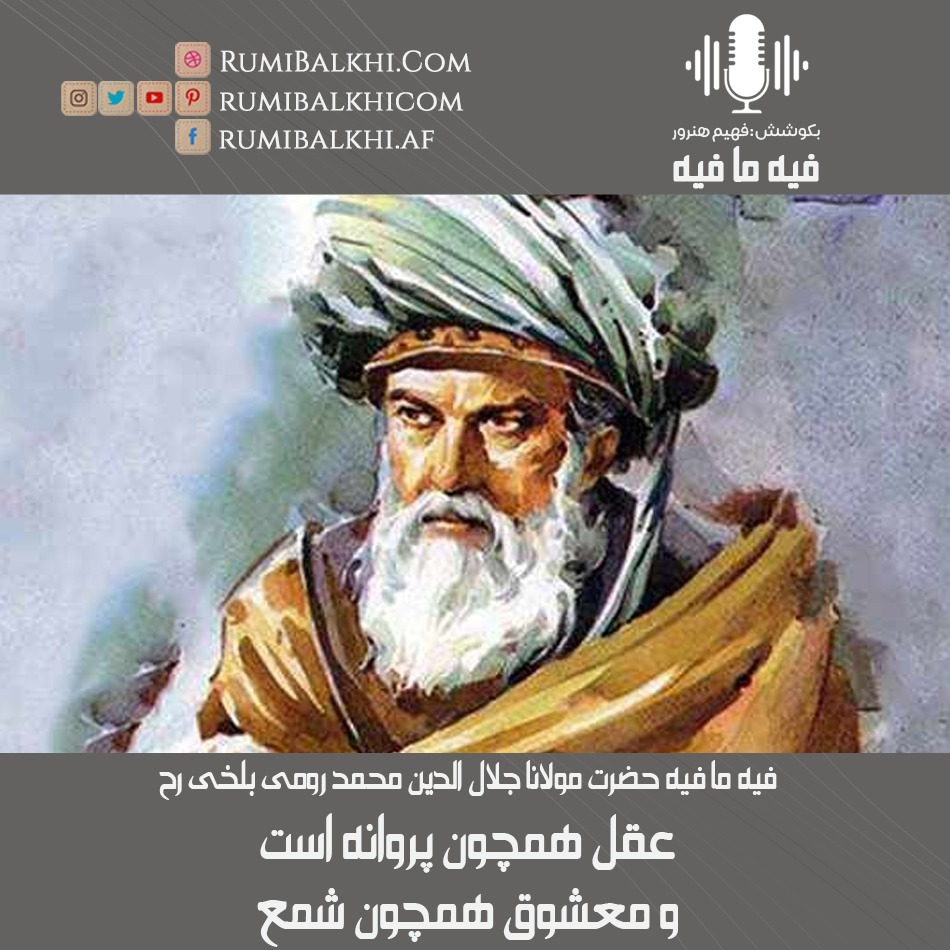 عقل همچون پروانه است و معشوق همچون شمع - فیه ما فیه