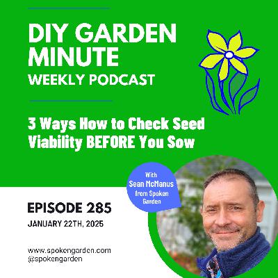 3 Ways How to Check Seed Viability BEFORE You Sow - DIY Garden Minute 3 Ways How to Check Seed Viability BEFORE You Sow - DIY Garden Minute