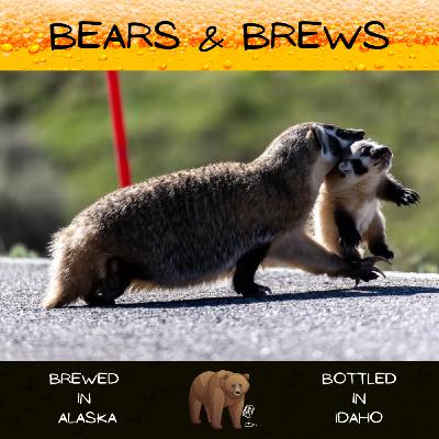 Season 2 Episode 2: A Buddy Cop Movie