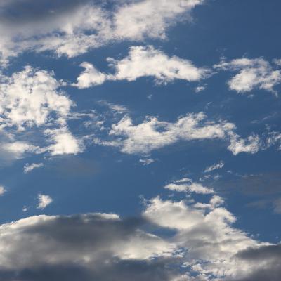 Ep8: NUNCA SERE TAN BUEN PRESIDENTE COMO BUEN ZAPATERO ERA MI PADRE Ep8: NUNCA SERE TAN BUEN PRESIDENTE COMO BUEN ZAPATERO ERA MI PADRE