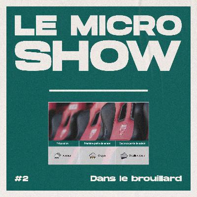 Dans le brouillard - Le Micro Show Dans le brouillard - Le Micro Show