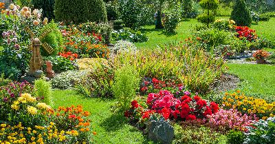 Il verde che cura Il verde che cura