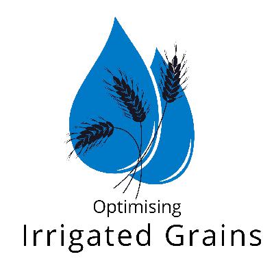 Optimising Irrigated Grains, Maize Marketing - Adam Robinson
