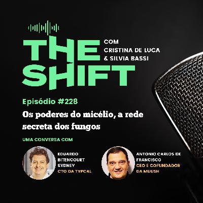 Os poderes do micélio, a rede secreta dos fungos