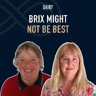 Episode 102 - Brix might not be best