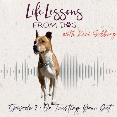 On Trusting Your Gut : Knowing When to Listen and When to Lead